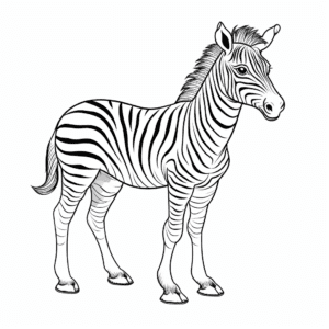 Zebra V3 Coloring Page for Kids